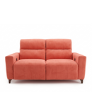 Ray Recliner Love Seat