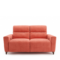 Ray Recliner Love Seat