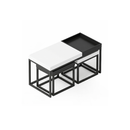Dual Elegance Center Table
