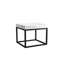 Dual Elegance Center Table