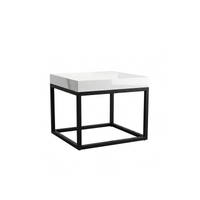 Dual Elegance Center Table