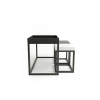 Dual Elegance Center Table